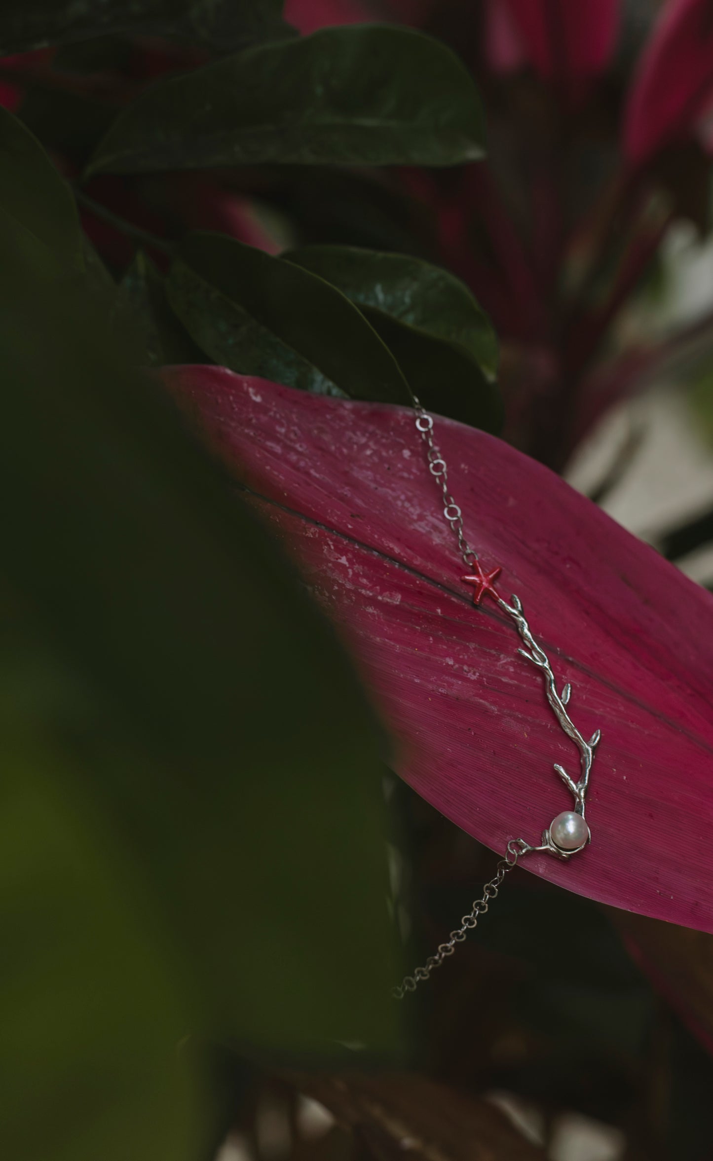 Collar coral