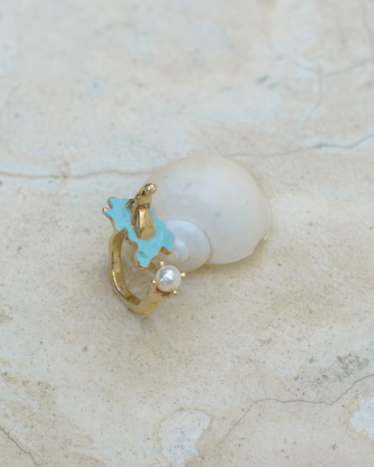 Anillo Nereida en el mar